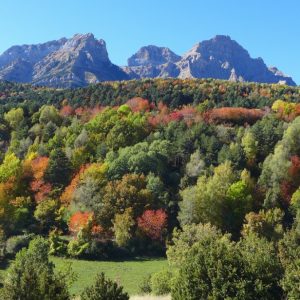 MiniAulas - Bosque de Betato - Piedrafita de Jaca. 20 de octubre