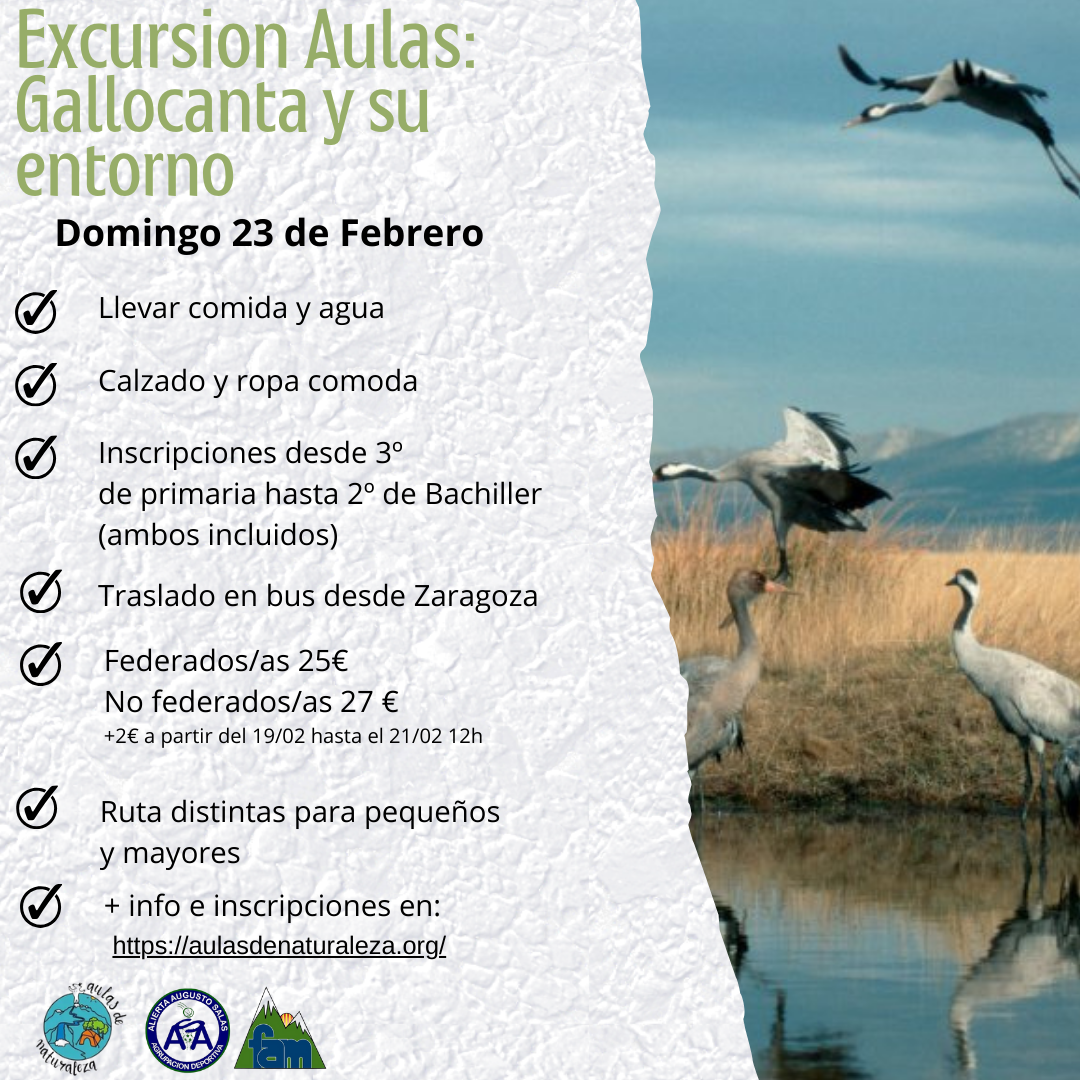 Excursión Gallocanta. 23 de febrero - Imagen 2